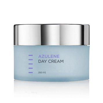 Holy Land Azulene Day Care Cream денний зволожувальний крем для обличчя 250 мл SP001086 фото